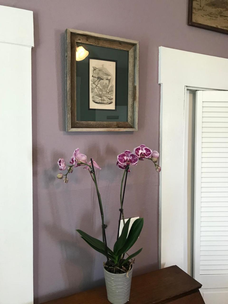 Whooping Crane Manor B & B Rockport Extérieur photo
